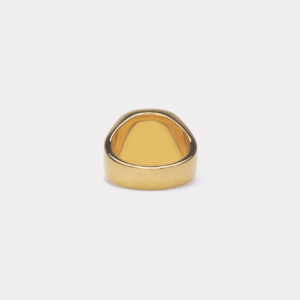 ix studios IX Cushion Signet Ring Hawks Eye packshot 1