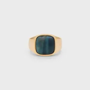 ix studios IX Cushion Signet Ring Hawks Eye packshot
