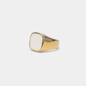 ix studios IX Cushion Signet Ring Moonstone packshot 1