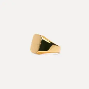 ix studios IX Octagon Signet Ring 3