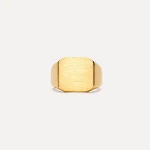 ix studios IX Octagon Signet Ring packshot
