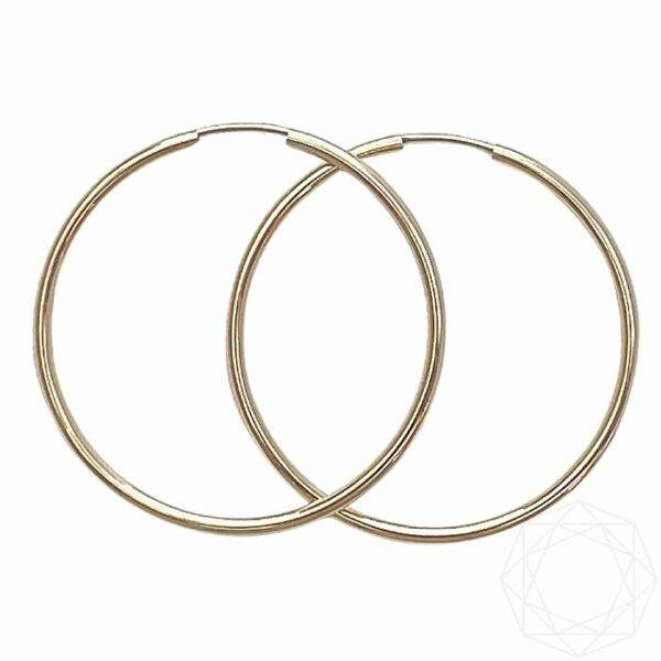 Creoler &#8211; 14 kt guld (2mm/40mm), Juwels